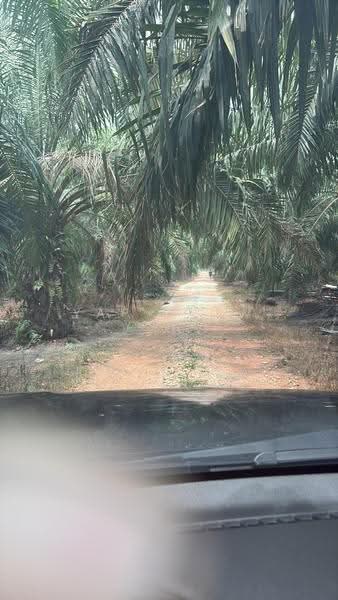 Agricultural Land for Sale in Taman Sijangkang Jaya (Telok Panglima Garang) - Yap Chew Ying - Exterior - PropertyGuru.com.my