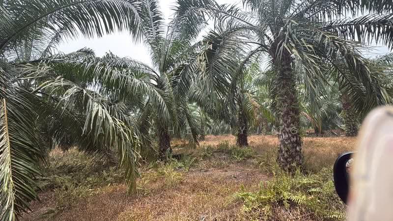 Agricultural Land for Sale in Taman Sijangkang Jaya (Telok Panglima Garang) - Yap Chew Ying - Exterior - PropertyGuru.com.my