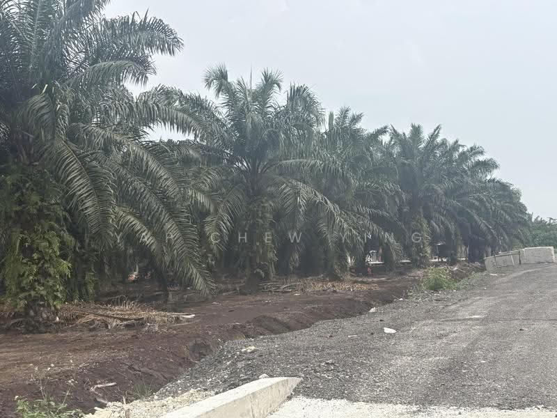 Agricultural Land for Sale in Taman Sijangkang Jaya (Telok Panglima Garang) - Yap Chew Ying - PropertyGuru.com.my