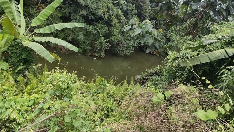 Agricultural Land for Sale in Slim River (Perak) - Mahenthiran . - PropertyGuru.com.my