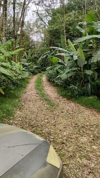Agricultural Land for Sale in Slim River (Perak) - Mahenthiran . - PropertyGuru.com.my