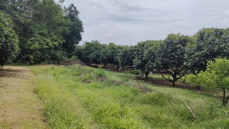 Agricultural Land for Sale in Slim River (Perak) - Mahenthiran . - PropertyGuru.com.my