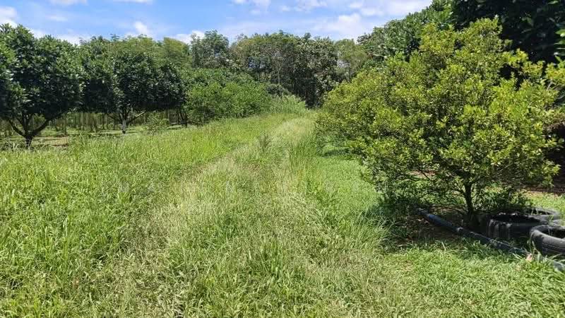 Agricultural Land for Sale in Slim River (Perak) - Mahenthiran . - PropertyGuru.com.my