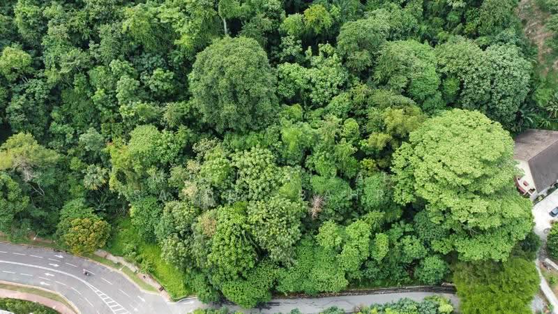 Residential Land for Sale in Country Heights Damansara (Kuala Lumpur) - Mohd Aizat Saiful Bahri - Exterior - PropertyGuru.com.my