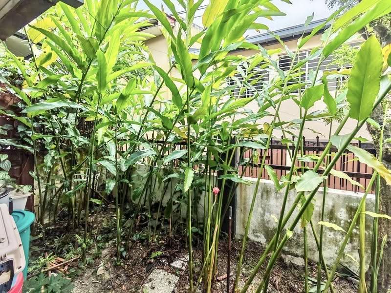 2-storey Terraced House for Sale in SS19 (Subang Jaya) - Alif Saad - Garden - PropertyGuru.com.my