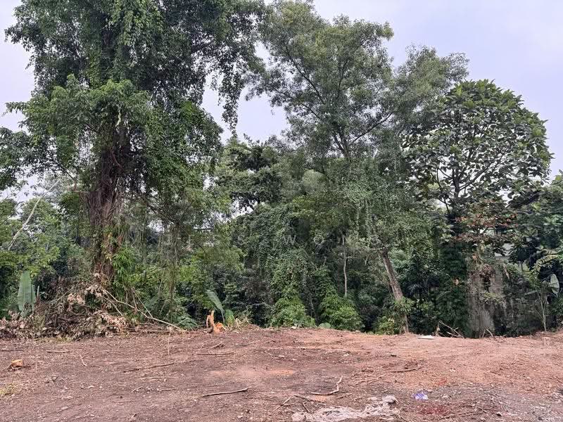 Tanah Kediaman untuk Dijual di Bukit Damansara (Damansara Heights) - Jess Wong - PropertyGuru.com.my