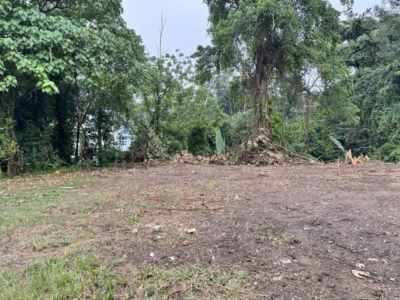 Tanah Kediaman untuk Dijual di Bukit Damansara (Damansara Heights) - Jess Wong - PropertyGuru.com.my