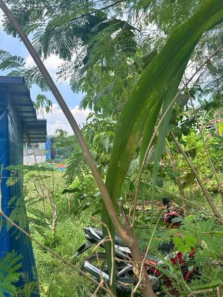Agricultural Land for Sale in Kampung Bukit Lanchong (Subang Jaya) - Veron Leong - Exterior - PropertyGuru.com.my