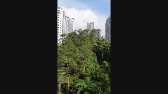 Kondominium untuk Dijual di Genting View Resort - Janice Low - PropertyGuru.com.my
