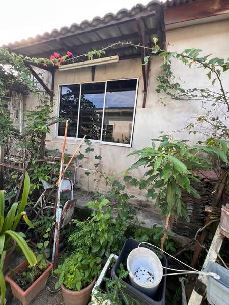 1-storey Terraced House for Sale in Taman Cekur Manis (Lunas) - Shahidan Ismail - Exterior - PropertyGuru.com.my