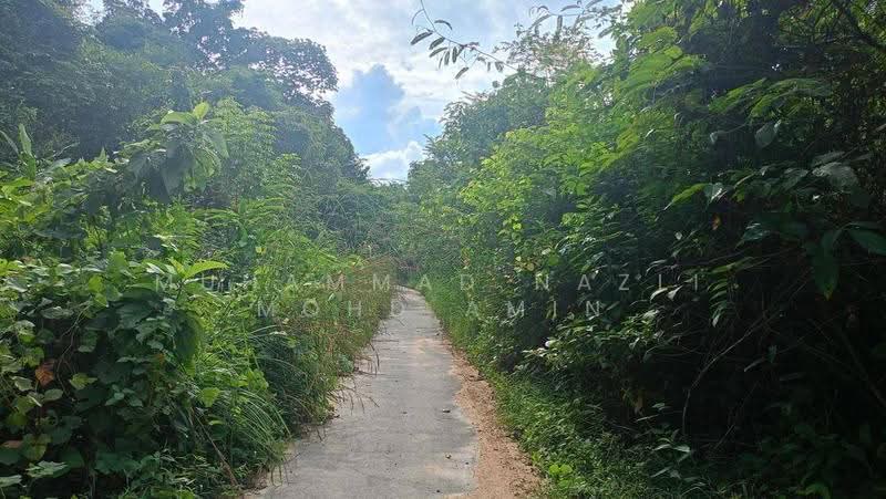 Agricultural Land for Sale in Kampung Air Betang (Gerik) - Muhammad Nazli Mohd Amin - Exterior - PropertyGuru.com.my