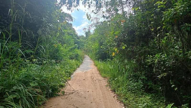 Agricultural Land for Sale in Kampung Air Betang (Gerik) - Muhammad Nazli Mohd Amin - Exterior - PropertyGuru.com.my