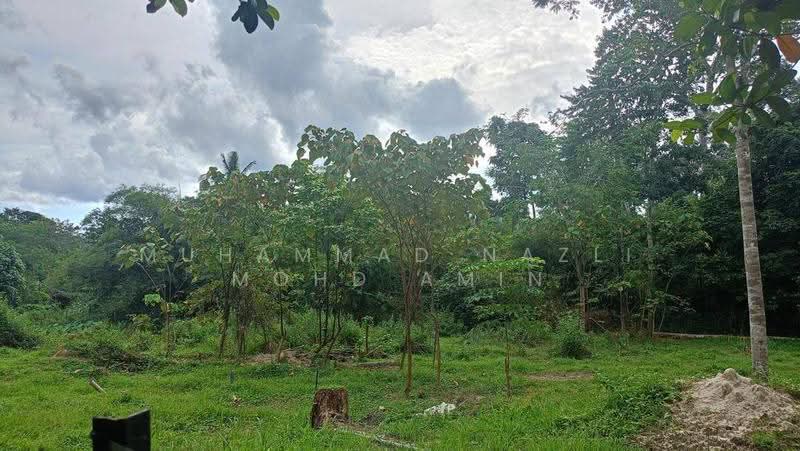 Agricultural Land for Sale in Kampung Air Betang (Gerik) - Muhammad Nazli Mohd Amin - Exterior - PropertyGuru.com.my
