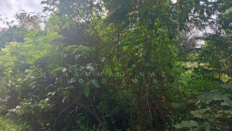 Agricultural Land for Sale in Kampung Air Betang (Gerik) - Muhammad Nazli Mohd Amin - Exterior - PropertyGuru.com.my