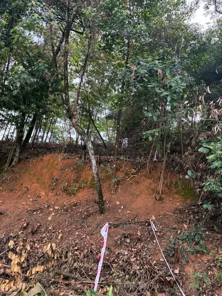 Tanah Kediaman untuk Dijual di Bukit Gasing (Petaling Jaya) - P Utahma Raj - PropertyGuru.com.my