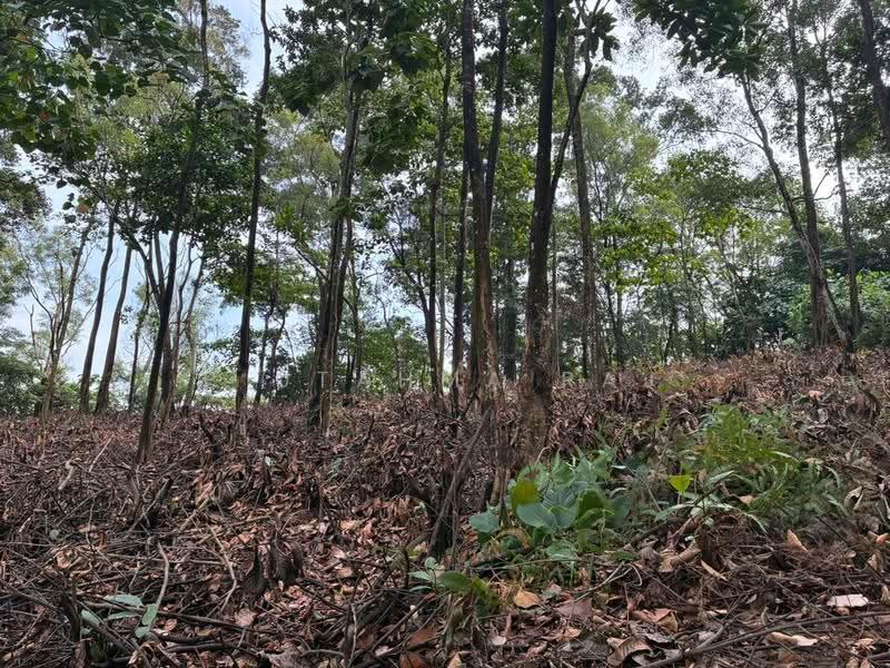 Tanah Kediaman untuk Dijual di Bukit Gasing (Petaling Jaya) - P Utahma Raj - Exterior - PropertyGuru.com.my