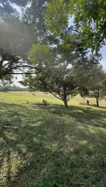 Tanah Banglo untuk Dijual di Leisure Farm (Gelang Patah) - Ke Xin Chan - Exterior - PropertyGuru.com.my