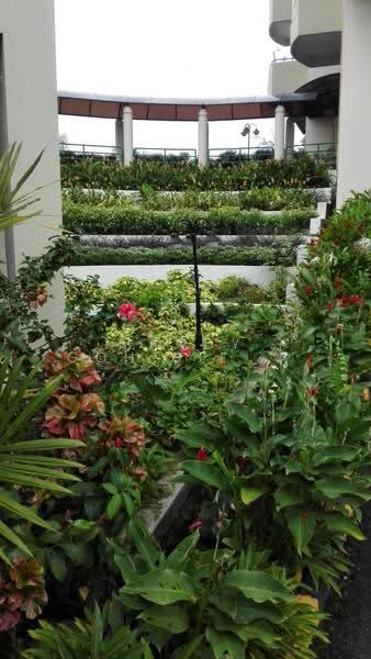 Condominium for Rent at The Wadihana - Mandy Goh Siew Li - Exterior - PropertyGuru.com.my