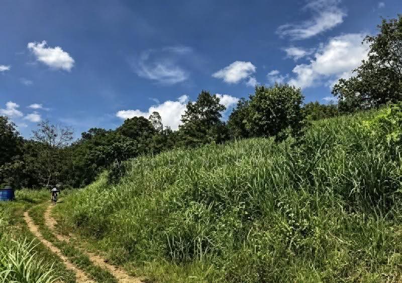 Agricultural Land for Sale in Kuala Kubu Baru (Rawang) - Adelyn Lee - Exterior - PropertyGuru.com.my