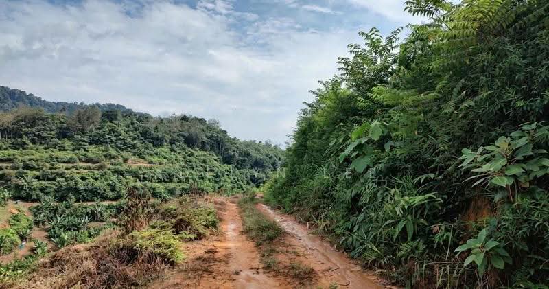 Agricultural Land for Sale in Kuala Kubu Baru (Rawang) - Adelyn Lee - Exterior - PropertyGuru.com.my