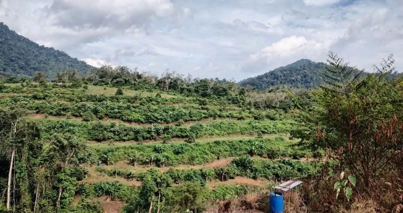 Agricultural Land for Sale in Kuala Kubu Baru (Rawang) - Adelyn Lee - Exterior - PropertyGuru.com.my