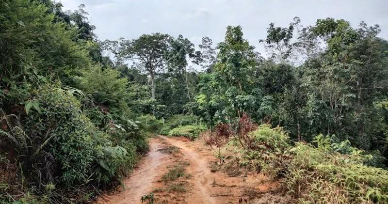 Agricultural Land for Sale in Kuala Kubu Baru (Rawang) - Adelyn Lee - Exterior - PropertyGuru.com.my