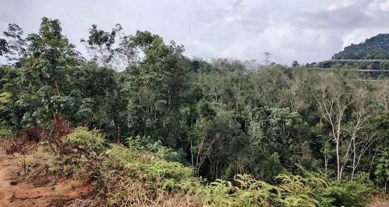 Agricultural Land for Sale in Kuala Kubu Baru (Rawang) - Adelyn Lee - Exterior - PropertyGuru.com.my