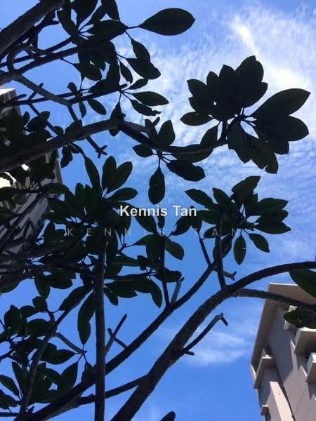 Condominium for Rent at Azelia Residence - Kennis Tan - PropertyGuru.com.my