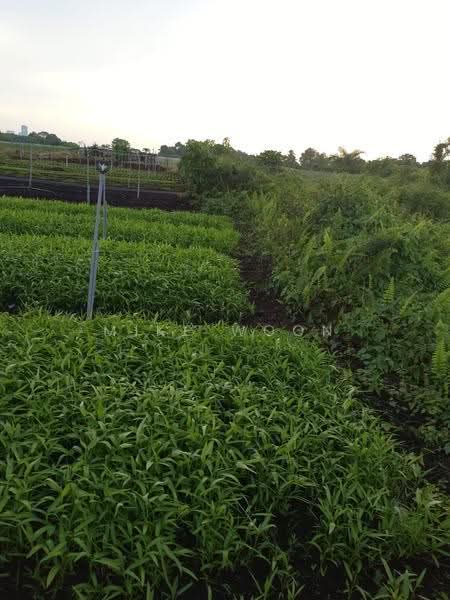 Tanah Komersial untuk Disewa di Klang (Selangor) - MiKe Woon - Garden - PropertyGuru.com.my