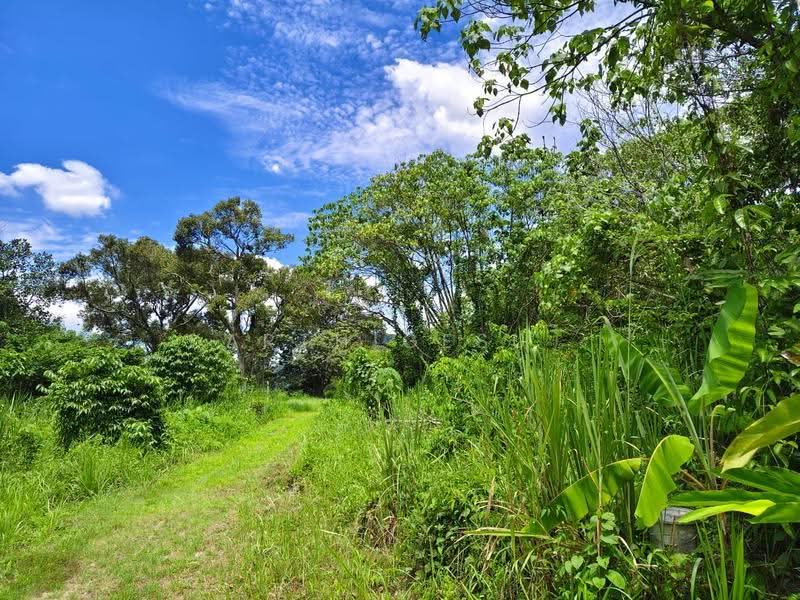 Residential Land for Sale in Taman Indah Gemilang 1 (Batu Caves) - Karthigesu . - Garden - PropertyGuru.com.my
