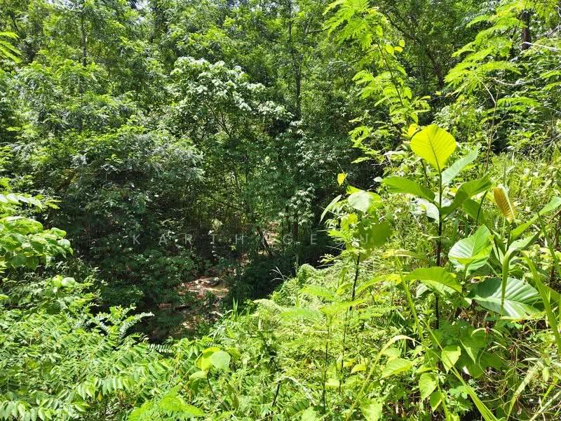 Residential Land for Sale in Taman Indah Gemilang 1 (Batu Caves) - Karthigesu . - Garden - PropertyGuru.com.my