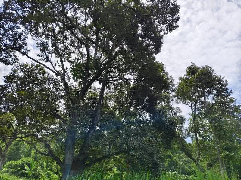 Residential Land for Sale in Taman Indah Gemilang 1 (Batu Caves) - Karthigesu . - Exterior - PropertyGuru.com.my