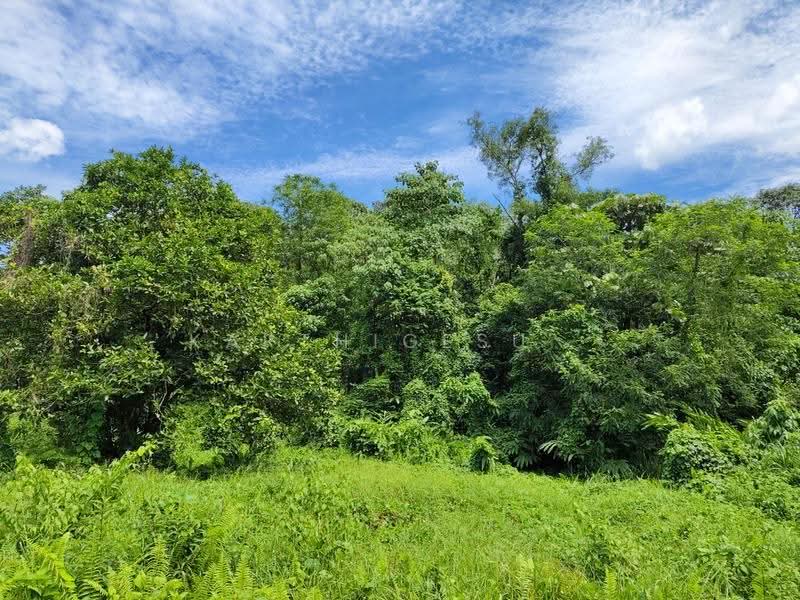 Residential Land for Sale in Taman Indah Gemilang 1 (Batu Caves) - Karthigesu . - Exterior - PropertyGuru.com.my