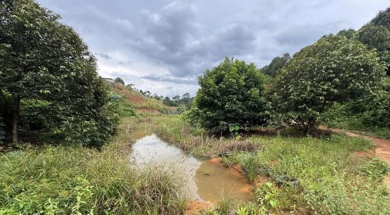 Agricultural Land for Sale in Kuala Kangsar (Perak) - Fennie Tee - Exterior - PropertyGuru.com.my