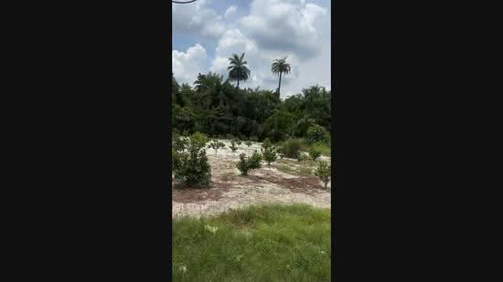 Residential Land for Sale in Teluk Intan (Perak) - Fennie Tee - PropertyGuru.com.my
