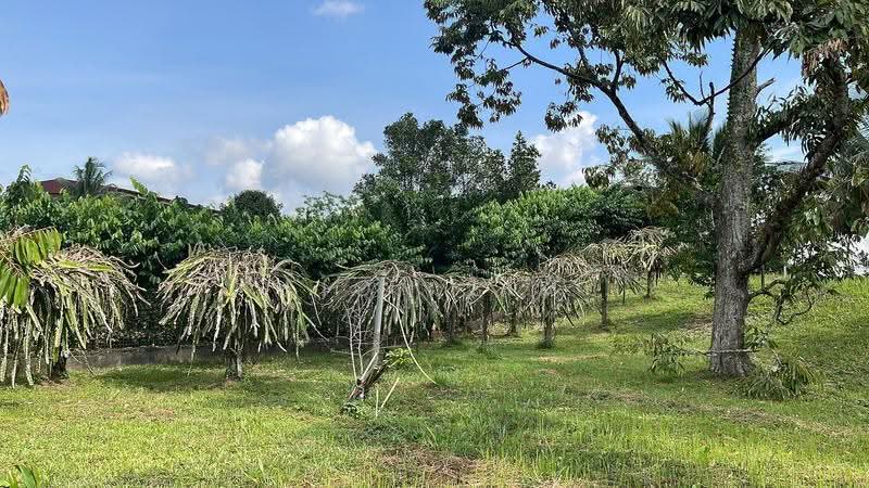 Bungalow House for Sale in Taman Bukit Tiram (Ulu Tiram) - Fion Lim - Garden - PropertyGuru.com.my