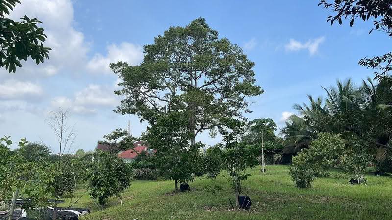 Bungalow House for Sale in Taman Bukit Tiram (Ulu Tiram) - Fion Lim - Exterior - PropertyGuru.com.my