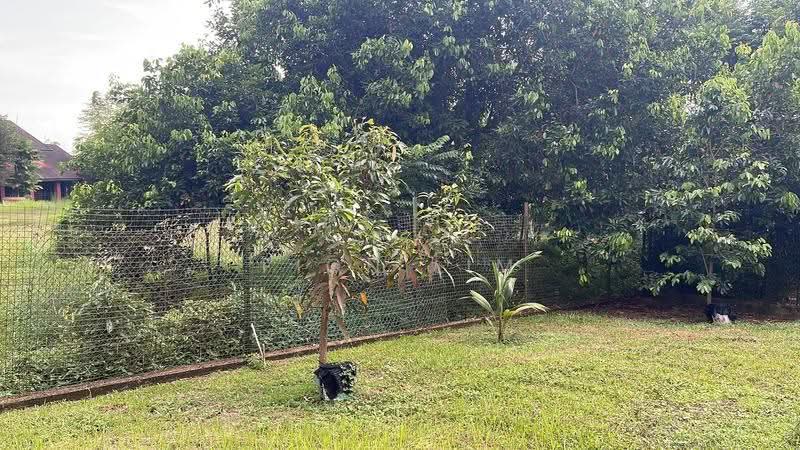 Bungalow House for Sale in Taman Bukit Tiram (Ulu Tiram) - Fion Lim - Garden - PropertyGuru.com.my