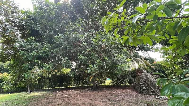 Bungalow House for Sale in Taman Bukit Tiram (Ulu Tiram) - Fion Lim - Exterior - PropertyGuru.com.my