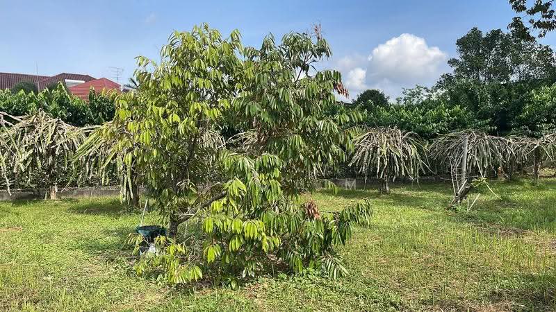 Bungalow House for Sale in Taman Bukit Tiram (Ulu Tiram) - Fion Lim - Garden - PropertyGuru.com.my