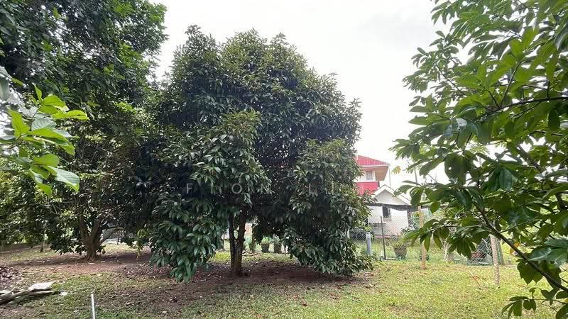 Bungalow House for Sale in Taman Bukit Tiram (Ulu Tiram) - Fion Lim - Exterior - PropertyGuru.com.my