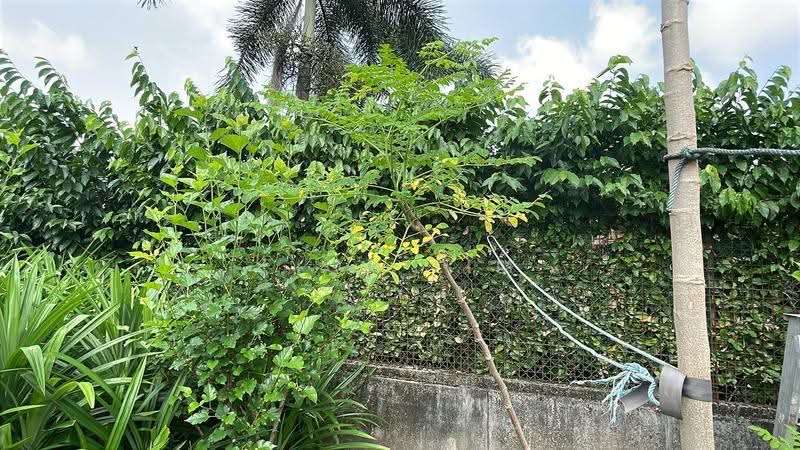 Bungalow House for Sale in Taman Bukit Tiram (Ulu Tiram) - Fion Lim - Exterior - PropertyGuru.com.my