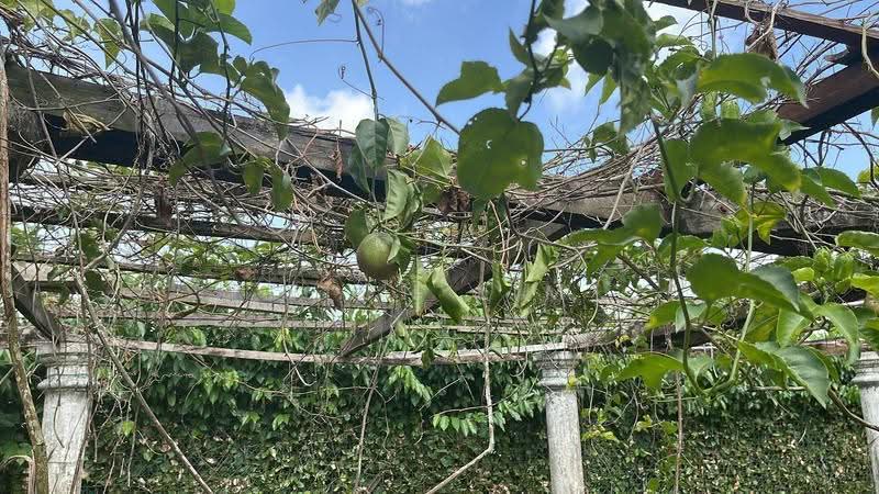 Bungalow House for Sale in Taman Bukit Tiram (Ulu Tiram) - Fion Lim - Exterior - PropertyGuru.com.my