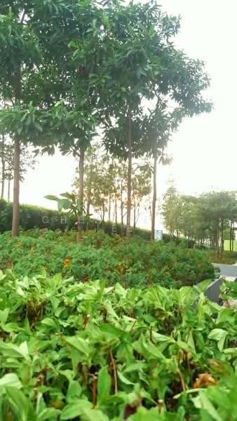 Service Residence for Rent at 168 Park Residensi Selayang - Chew Peng Lee - Garden - PropertyGuru.com.my