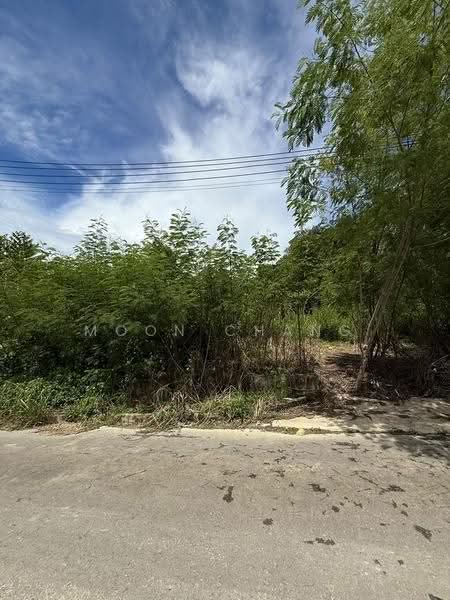 Residential Land for Sale in Penampang (Sabah) - Moon Chang - Exterior - PropertyGuru.com.my