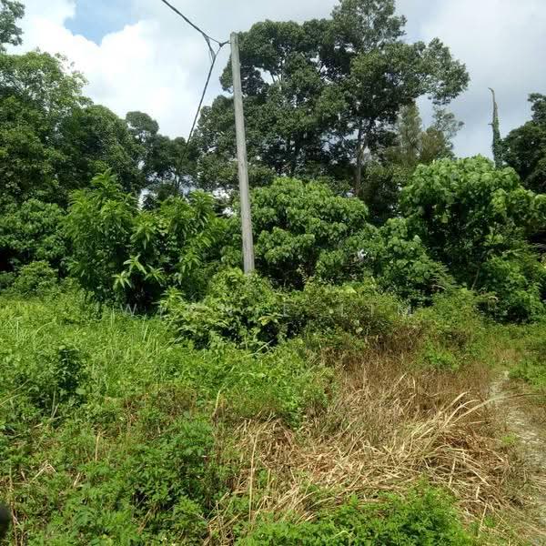 Tanah Pertanian untuk Dijual di Hulu Langat (Selangor) - Winnie Lim - Exterior - PropertyGuru.com.my