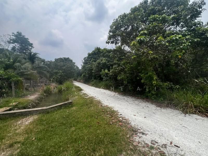 Agricultural Land for Sale in Taman Seri Damai Perdana (Kuantan) - Idham Che'Ali - Exterior - PropertyGuru.com.my