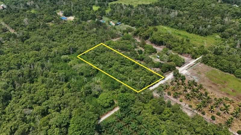 Agricultural Land for Sale in Taman Seri Damai Perdana (Kuantan) - Idham Che'Ali - Exterior - PropertyGuru.com.my