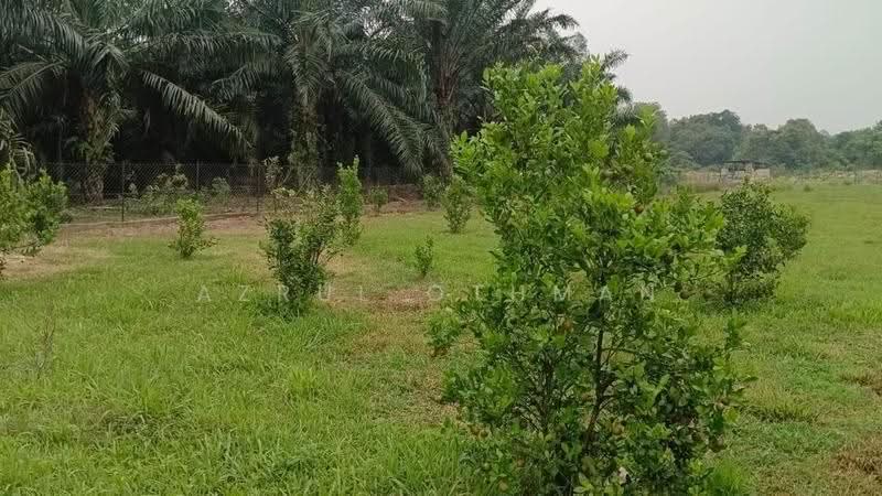 Agricultural Land for Sale in Linggi (Negeri Sembilan) - Azrul Othman - Garden - PropertyGuru.com.my
