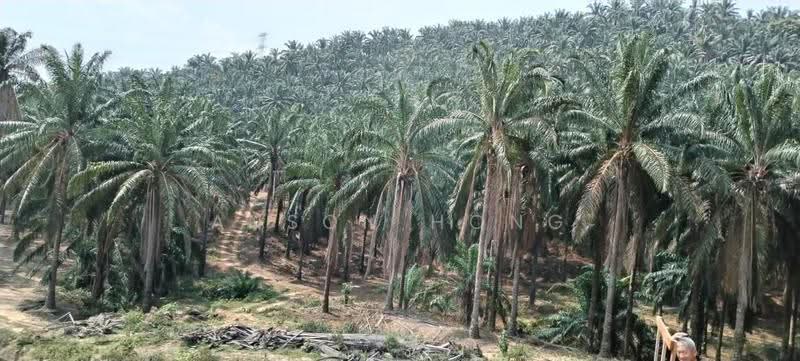 Agricultural Land for Sale in Rembau (Negeri Sembilan) - Anson Hong - PropertyGuru.com.my